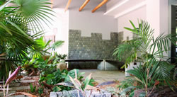 Our Office